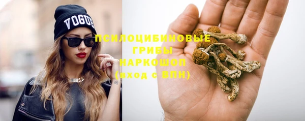 амф Белоозёрский