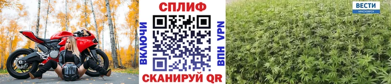 Бошки Шишки гибрид  купить закладку  Вяземский 